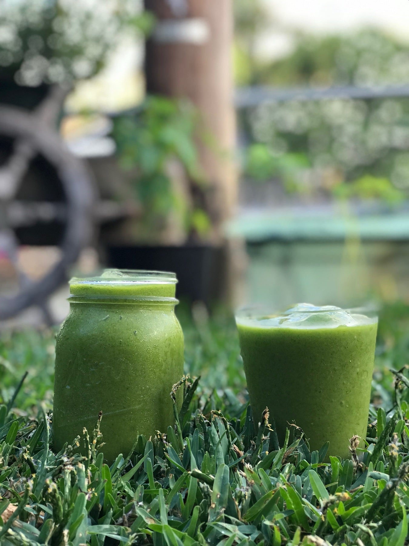 Fresh green Mana Living smoothies outdoors