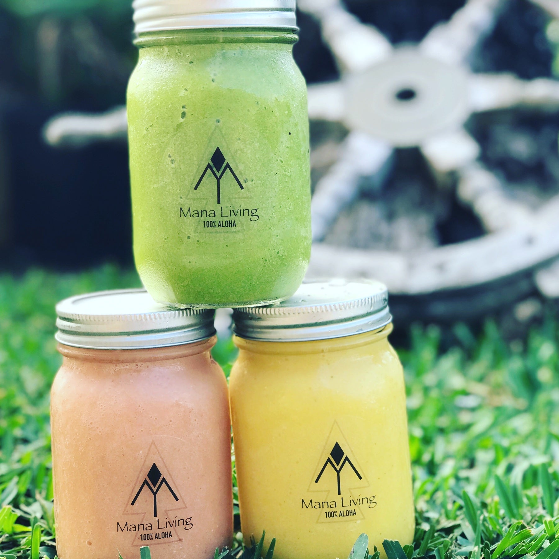 Three Mana Living smoothies in glass jars